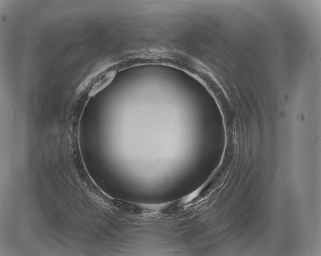 X0000083611304200702260917