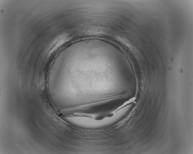 X0000083611306200702260917