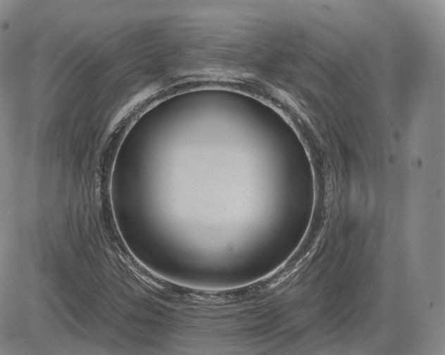 X0000083611307200702260917