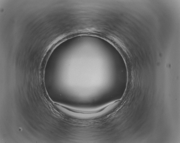 X0000083611308200702260917