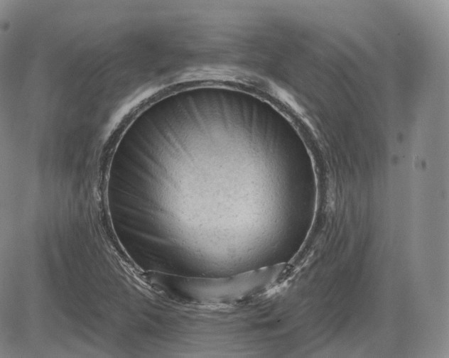 X0000083611312200702260918