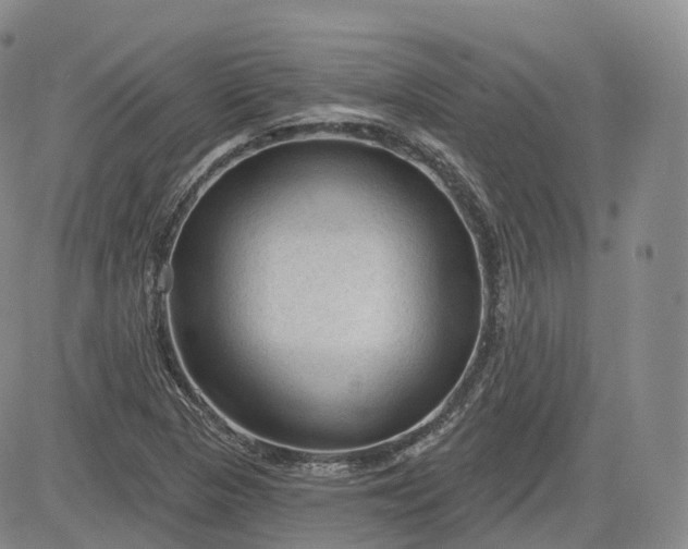 X0000083611313200702260918