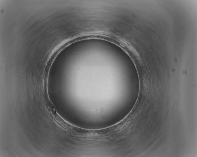 X0000083611316200702260918