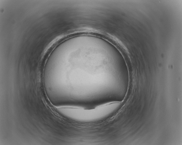 X0000083611318200702260918