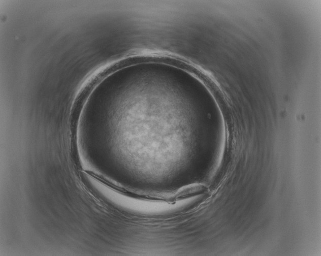 X0000083611319200702260918