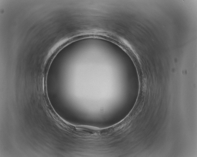 X0000083611320200702260918