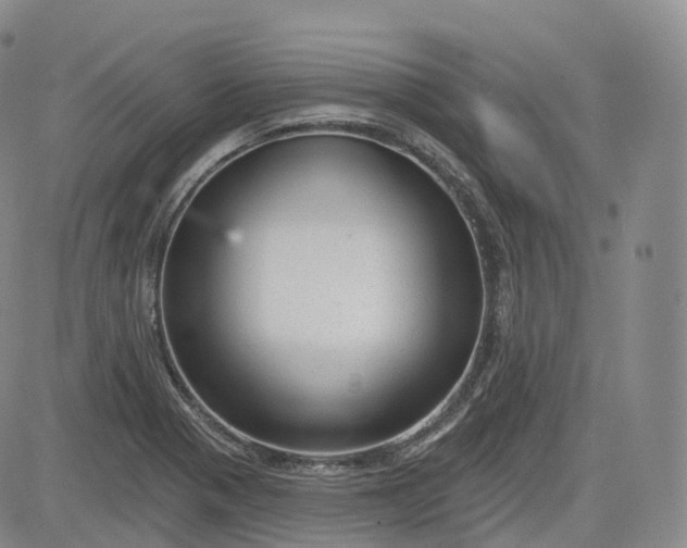 X0000083611321200702260918