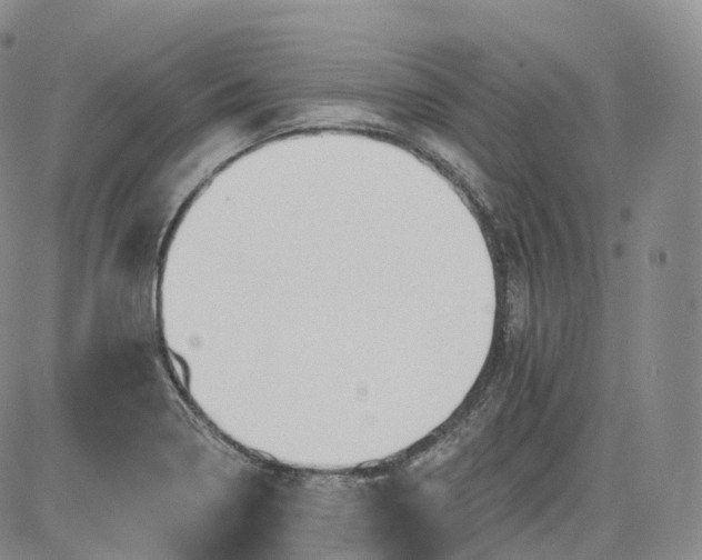 X0000083611322200702260918