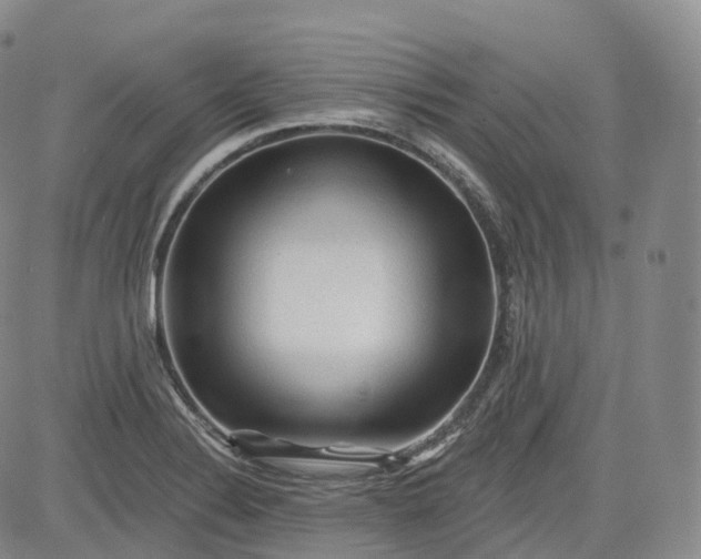 X0000083611324200702260918