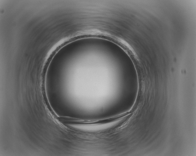 X0000083611326200702260918