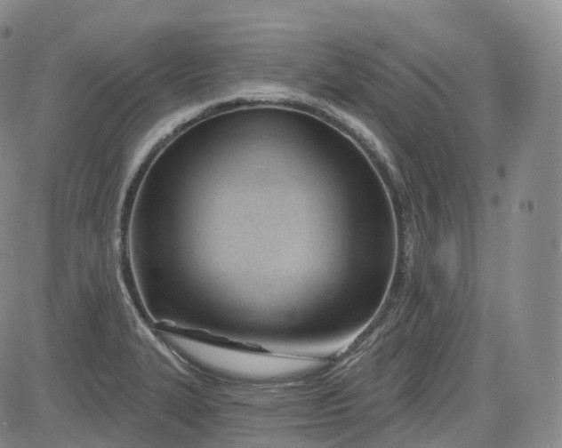 X0000083611327200702260918