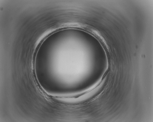 X0000083611328200702260918