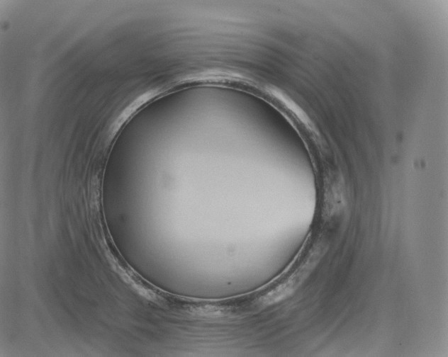 X0000083611329200702260918