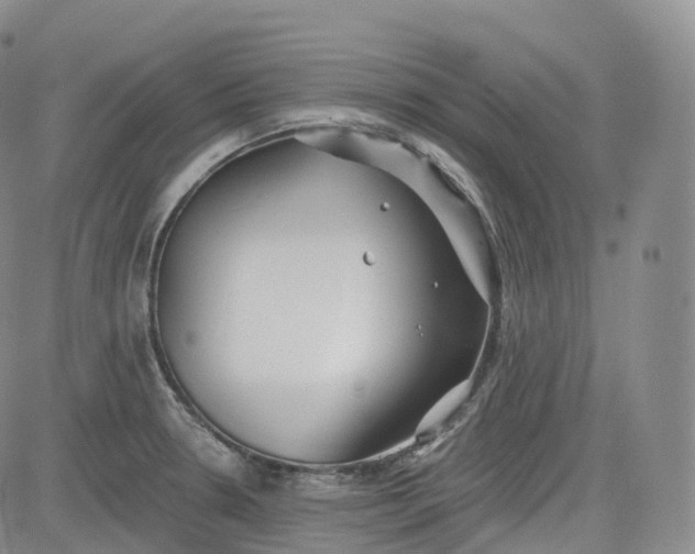 X0000083611330200702260918