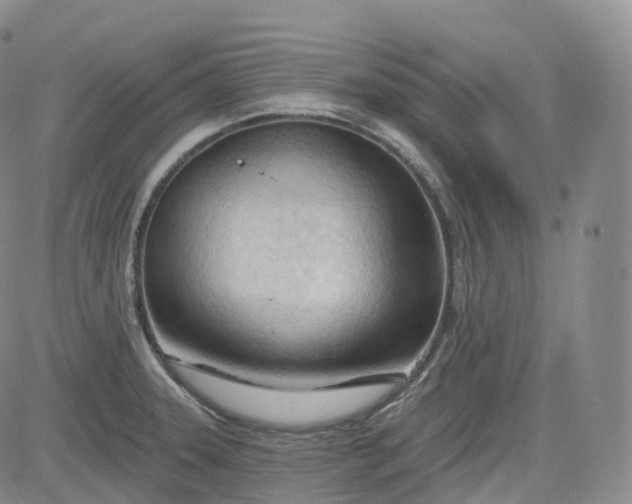 X0000083611331200702260918