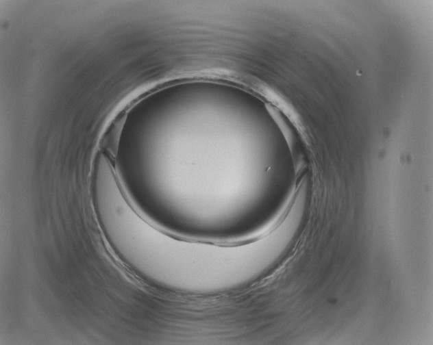 X0000083611332200702260918