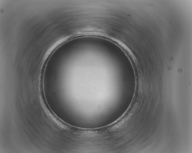 X0000083611333200702260918