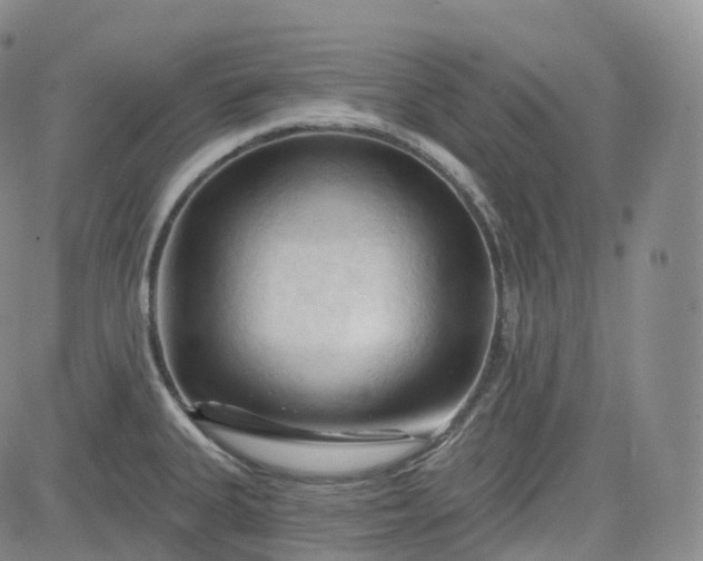 X0000083611335200702260918