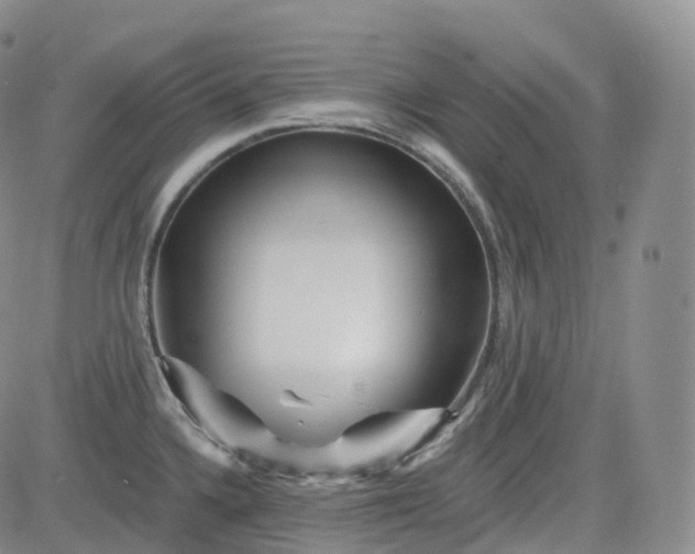 X0000083611336200702260918