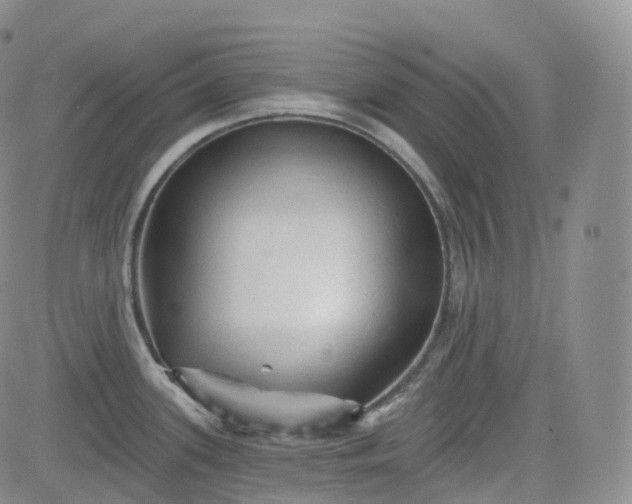 X0000083611339200702260918