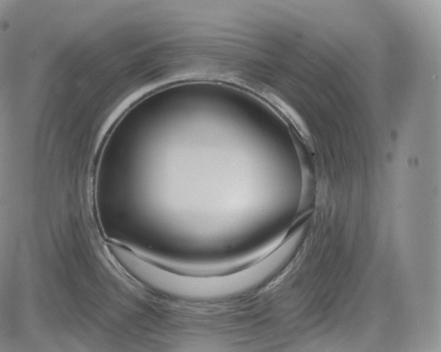 X0000083611340200702260918