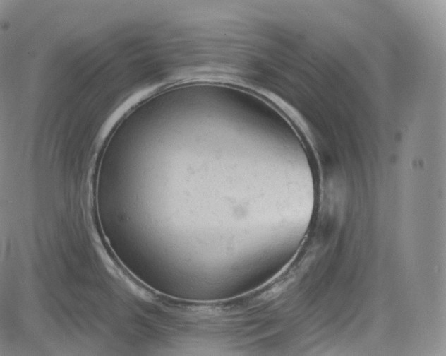 X0000083611341200702260918