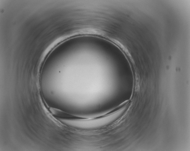 X0000083611342200702260918