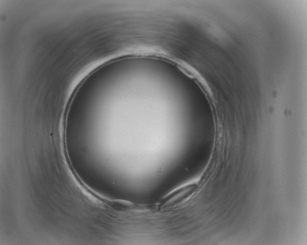 X0000083611343200702260918