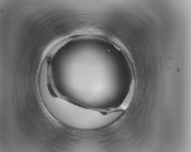 X0000083611344200702260918