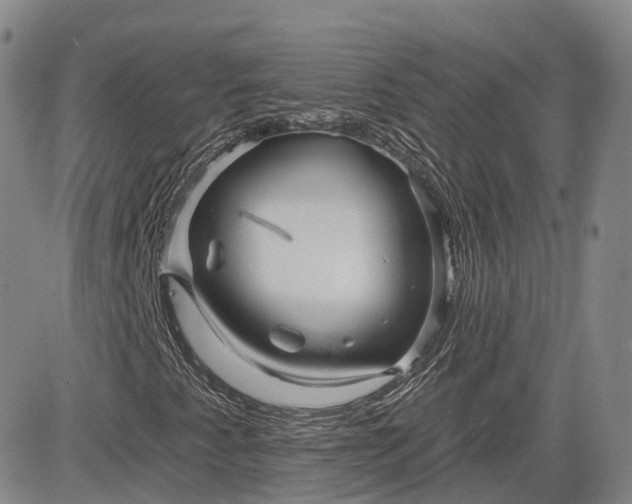 X0000083611345200702260917