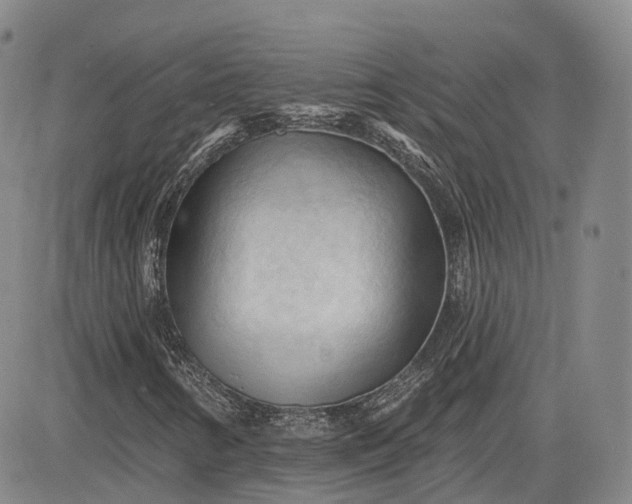 X0000083611346200702260917