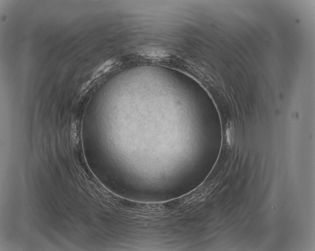 X0000083611347200702260917