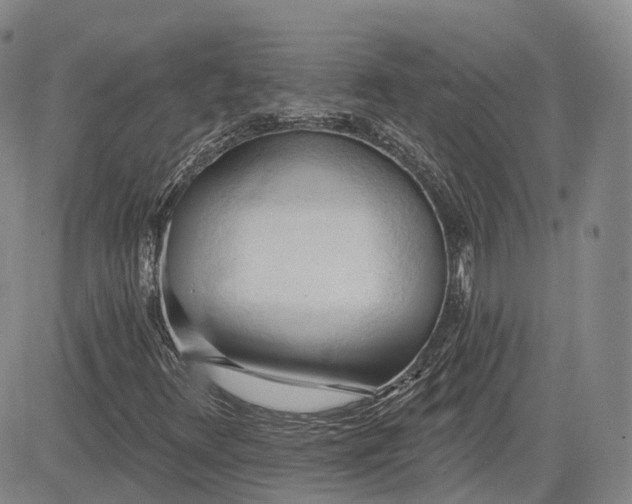 X0000083611348200702260917