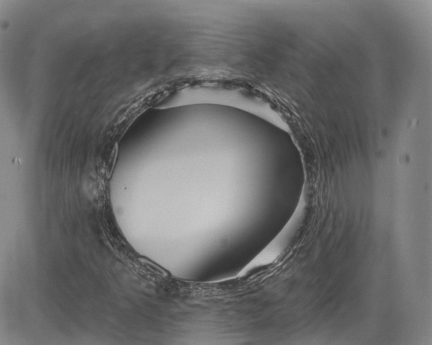 X0000083611349200702260917