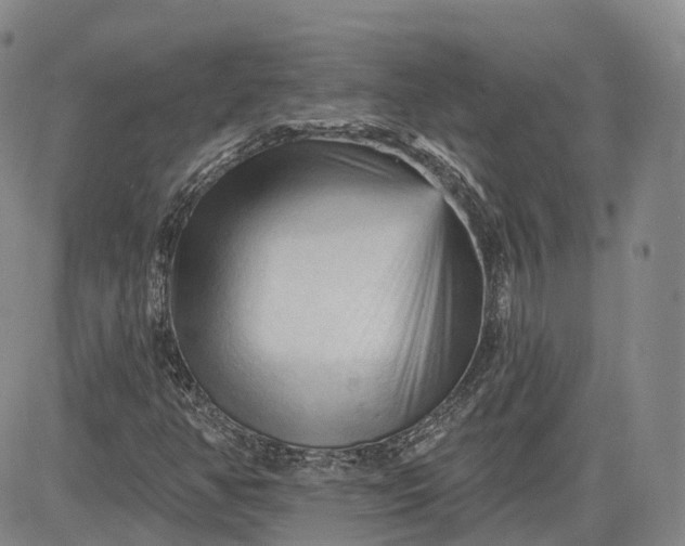 X0000083611350200702260917