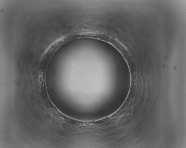 X0000083611351200702260917