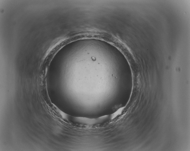 X0000083611352200702260917