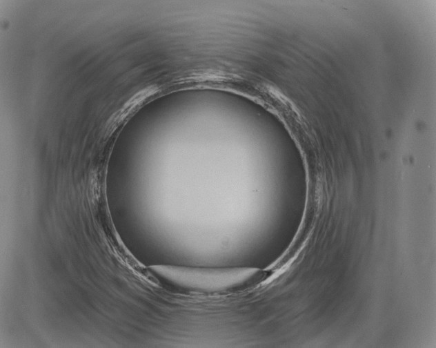 X0000083611353200702260917