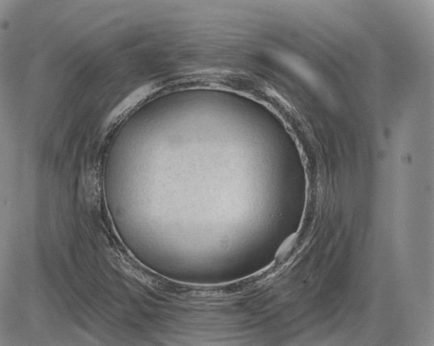 X0000083611354200702260917