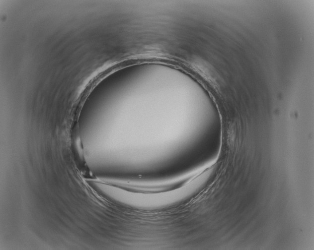 X0000083611356200702260917