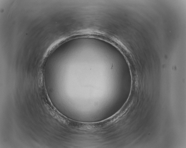 X0000083611358200702260917