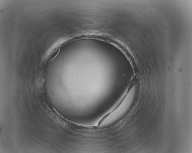 X0000083611359200702260917