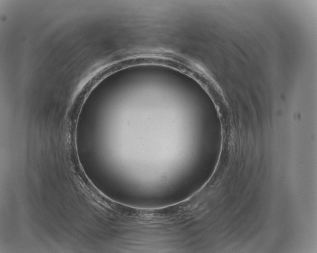 X0000083611360200702260917