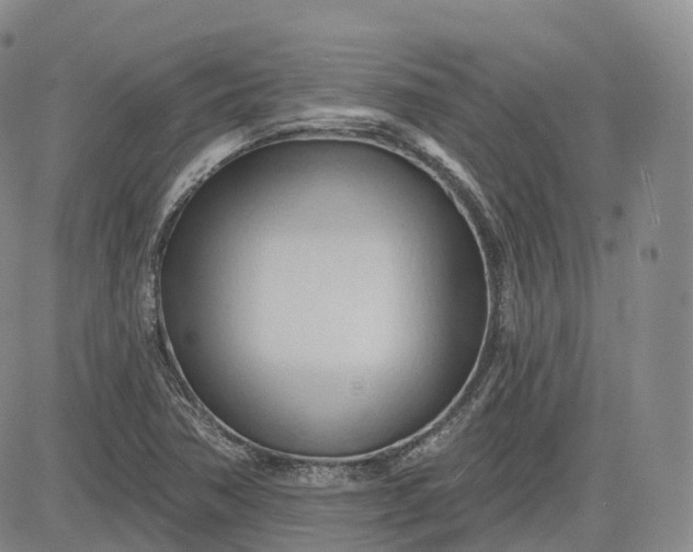 X0000083611362200702260917