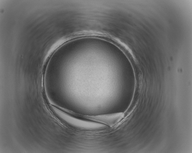 X0000083611365200702260917