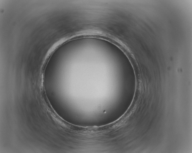 X0000083611366200702260917