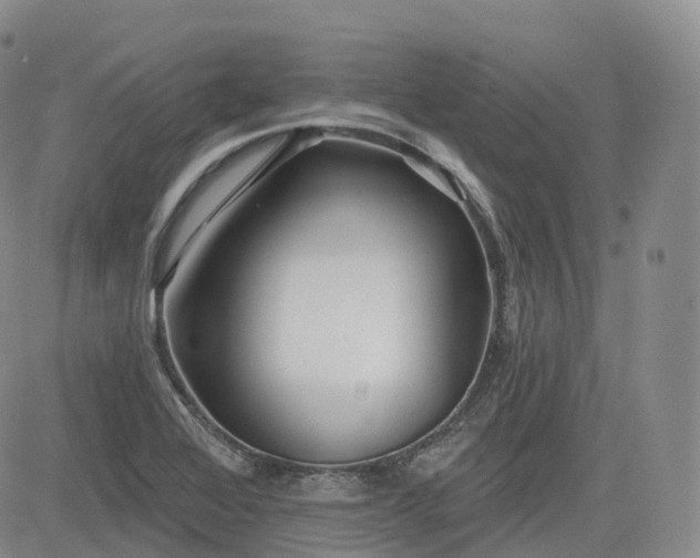 X0000083611368200702260917