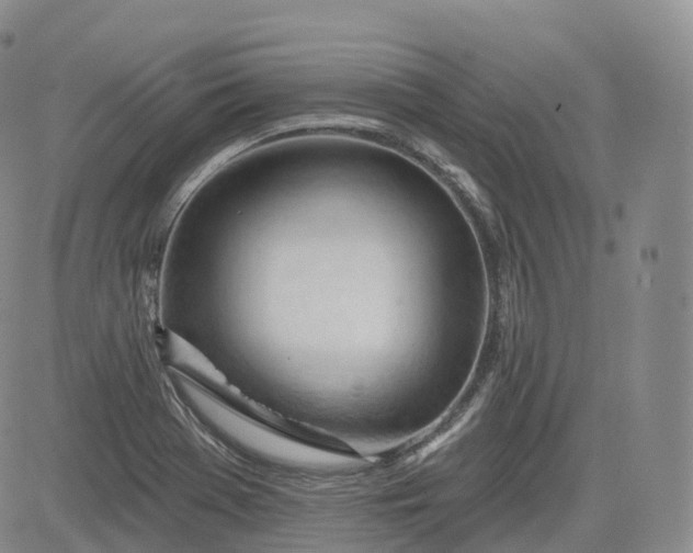 X0000083611369200702260917