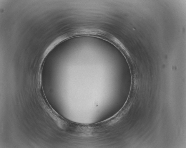 X0000083611370200702260917