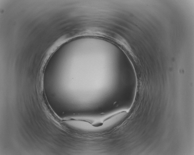 X0000083611371200702260917